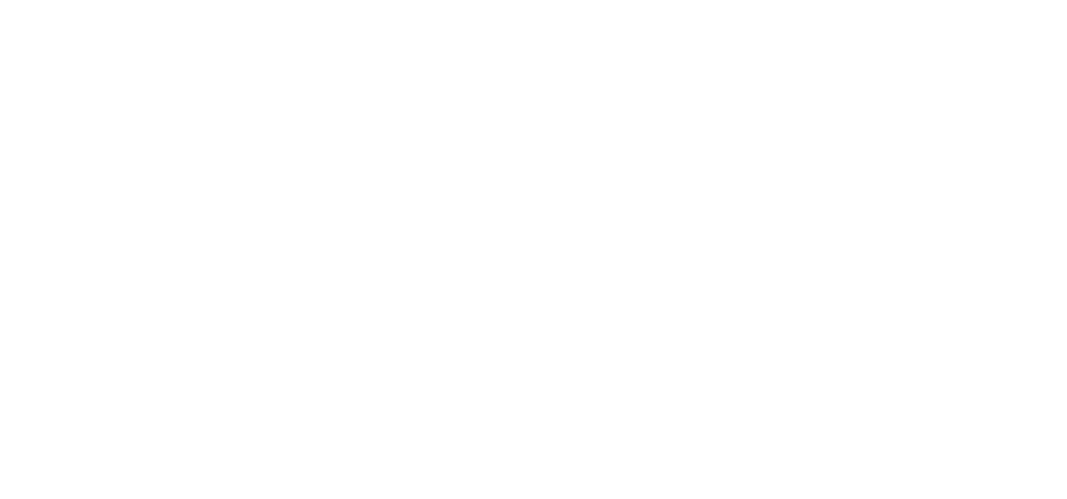 שלמה ביטוח